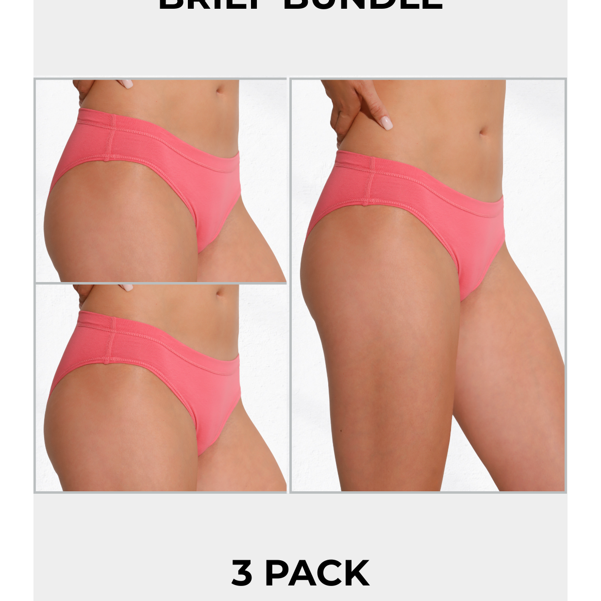 Brief Bundle