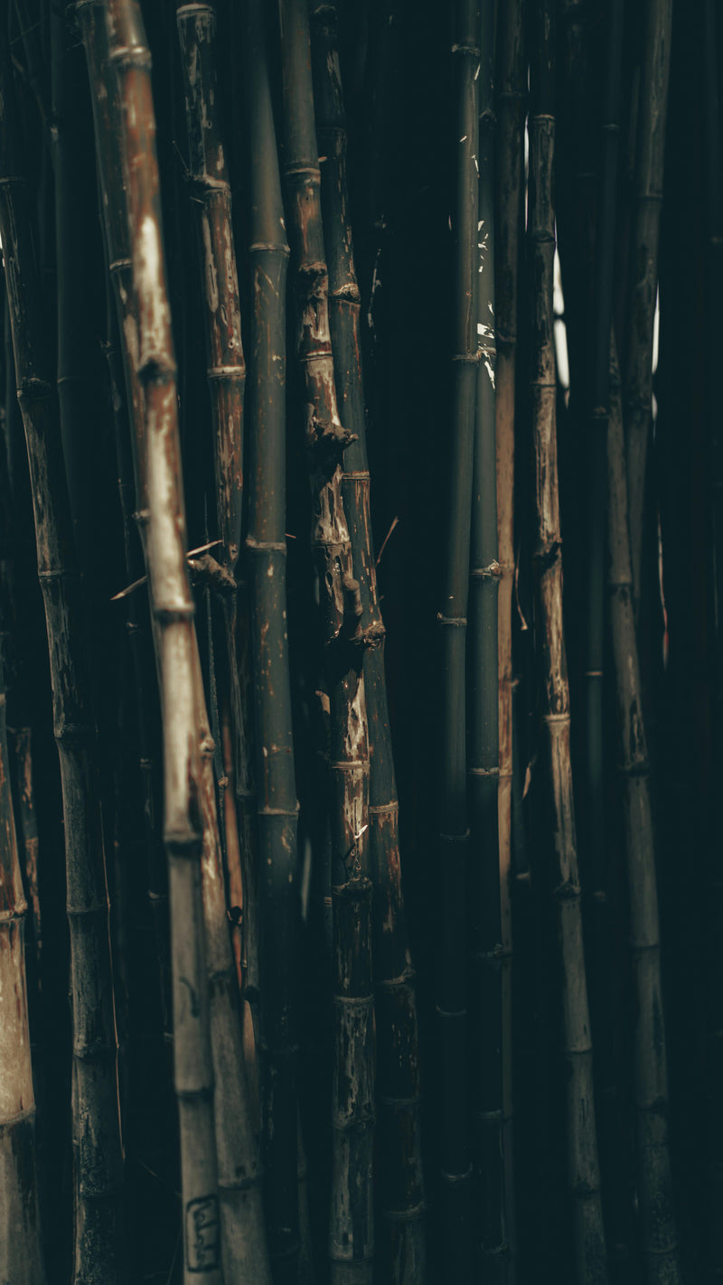 Don’t Be Fooled by Bamboo — Cotton Is Still Better