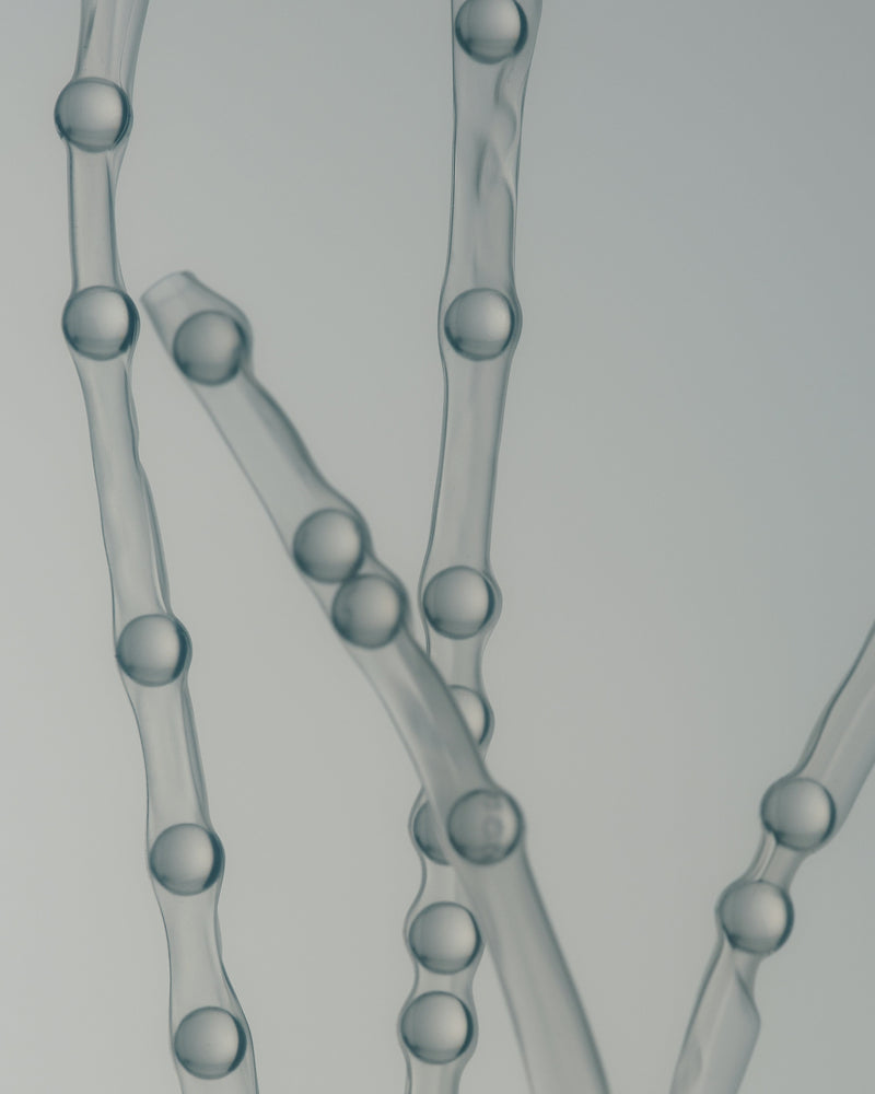 A Look at Bio-Materials and Their Transformative Potential