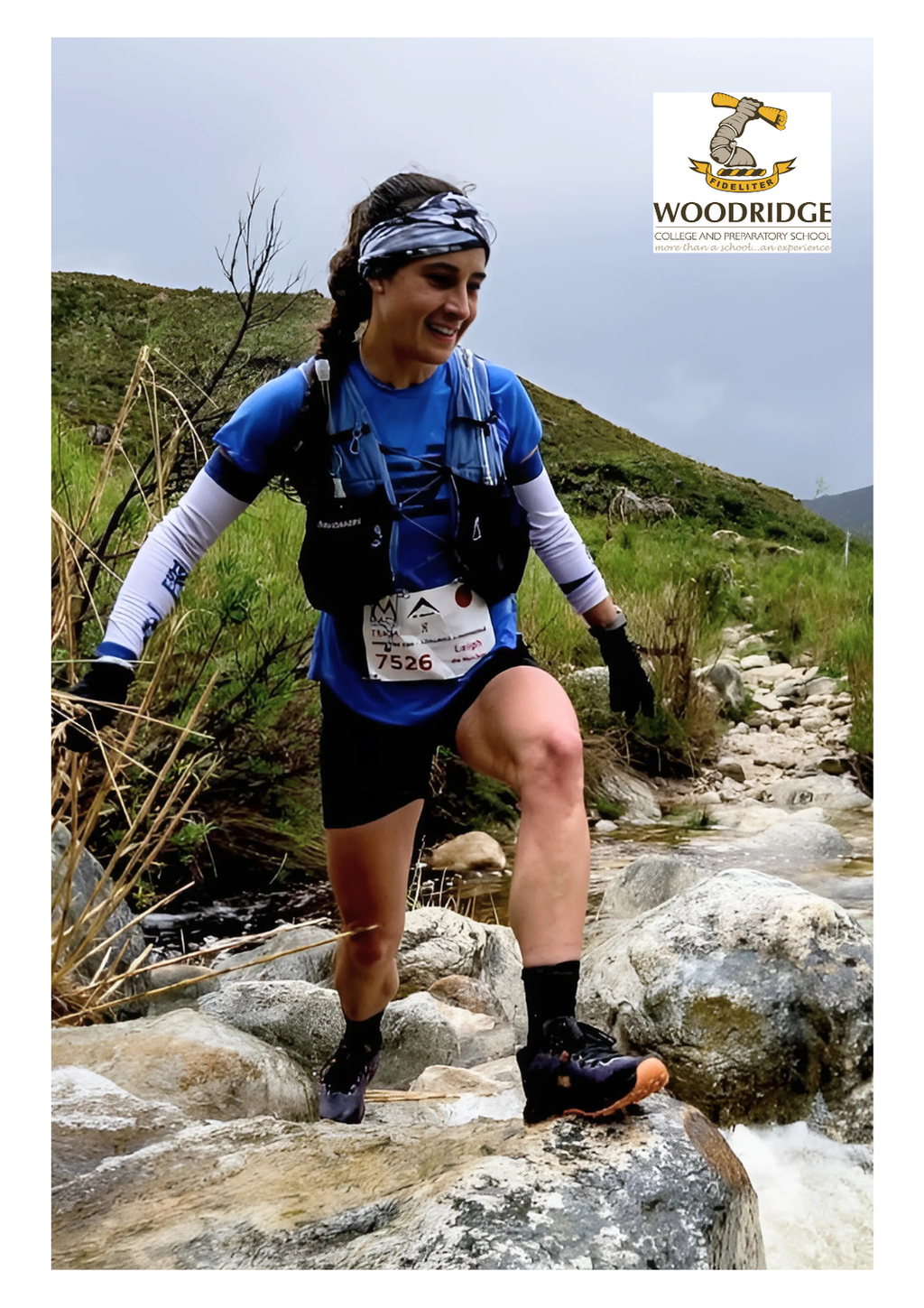 WOODRIDGE Crew Socks Bundle