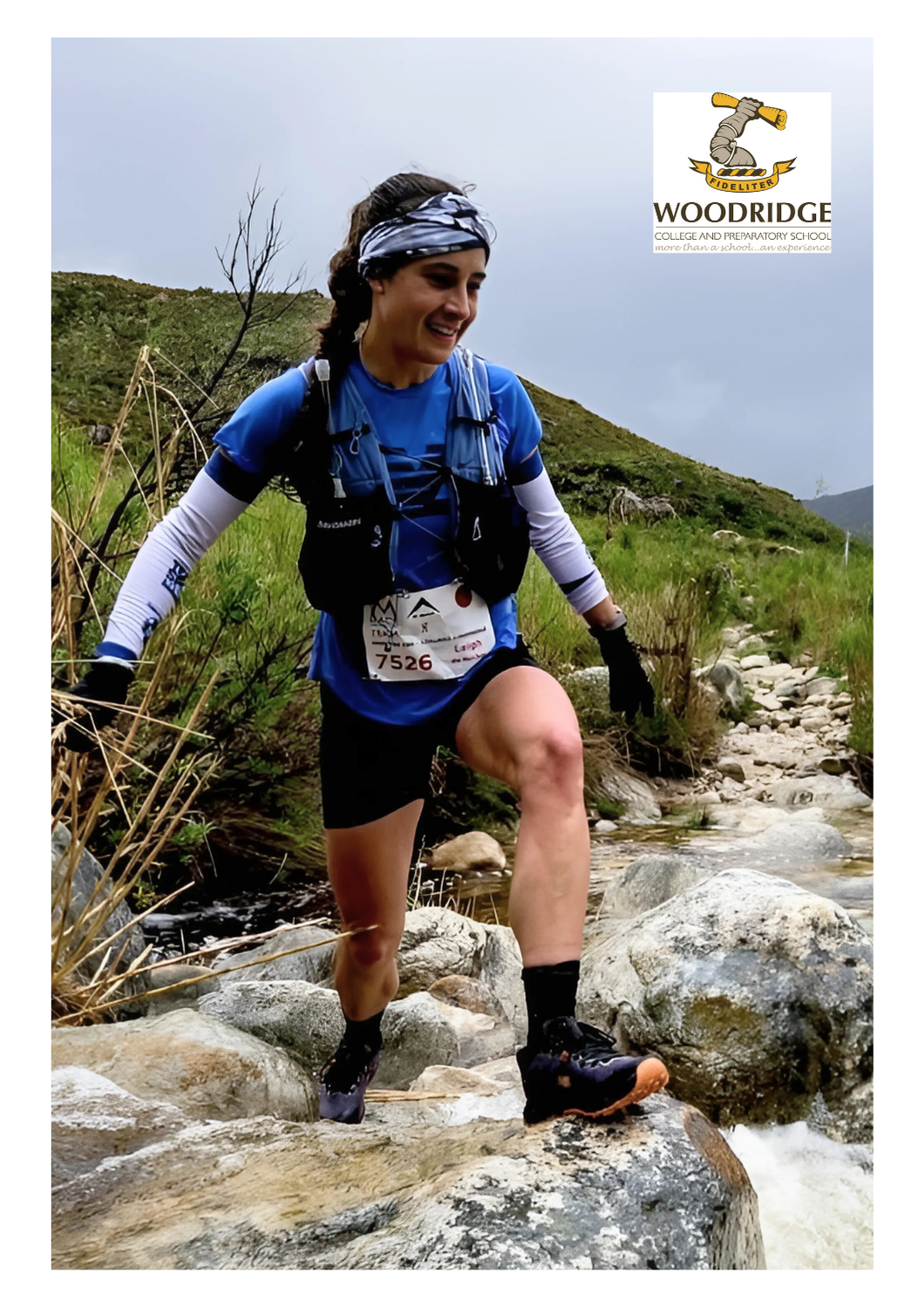 WOODRIDGE Crew Socks Bundle